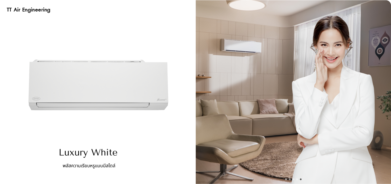 Carrier Wall Type X Inverter Plus Series-white (5)